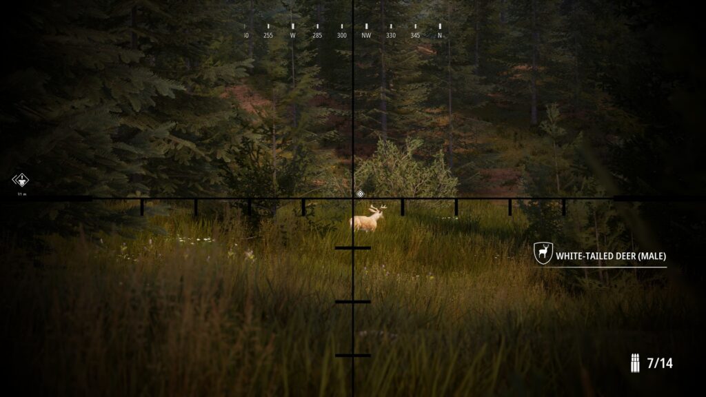 Hunting Simulator 2