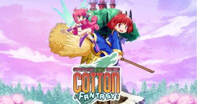 cotton fantasy