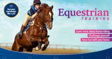 Equestrian Training