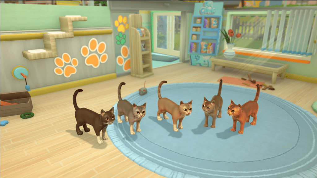 My Universe – Pet Clinic Cats & Dogs