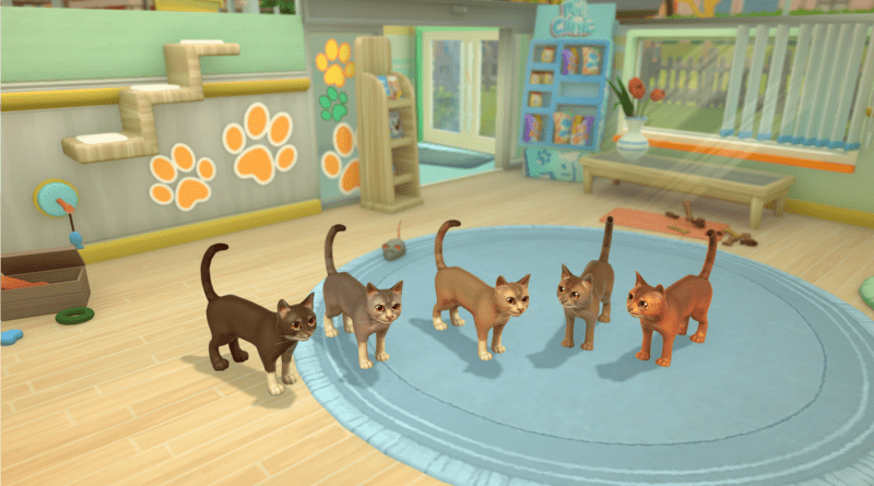 My Universe – Pet Clinic Cats & Dogs