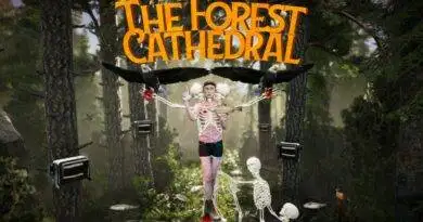 The Forest Cathedral