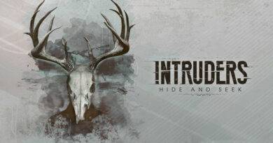 Intruders: Hide and Seek