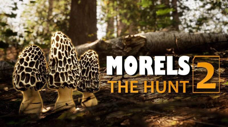 Morels: The Hunt 2