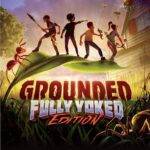 grounded cover