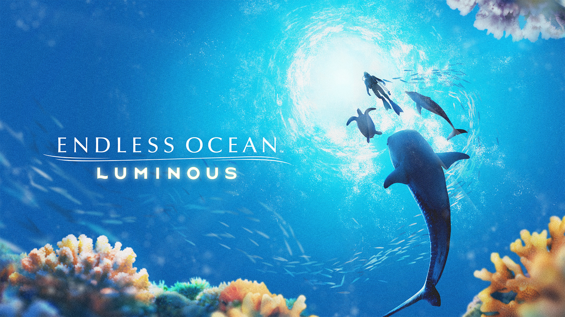 Jogos: Endless Ocean Luminous &#124; Review