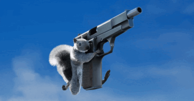 Squirrel with a Gun