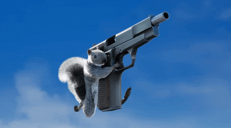 Squirrel with a Gun