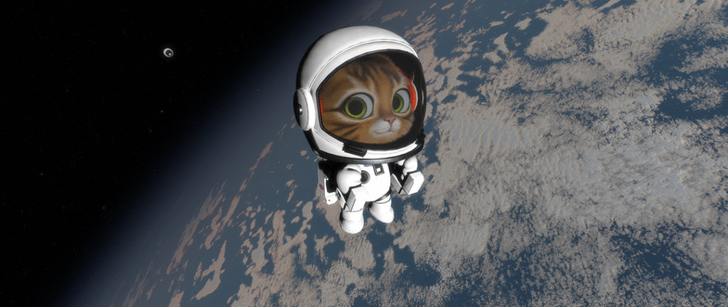 Kitten Space Agency Kitten Space Agency