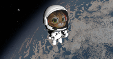 Kitten Space Agency