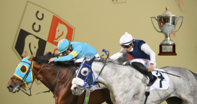 Neverness to Everness Análise Técnica: 5 Fatores Críticos que Determinam o Sucesso nas Corridas de Cavalos