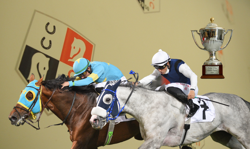 Análise Técnica: 5 Fatores Críticos que Determinam o Sucesso nas Corridas de Cavalos