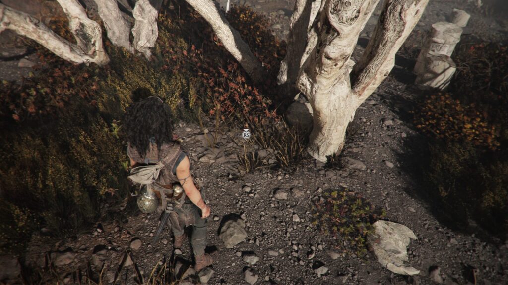 Resonance: A Plague Tale Legacy
