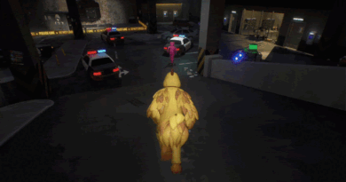 DIG Raiders: Anomaly Extraction
