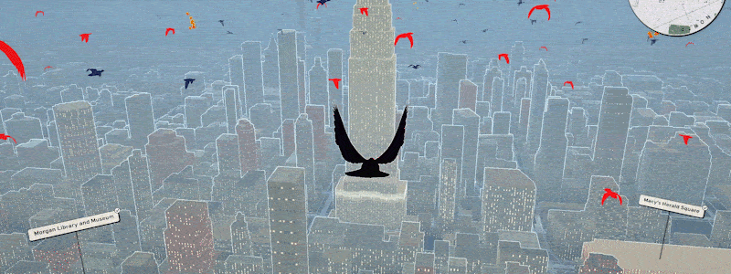 Pigeon: A Love Story