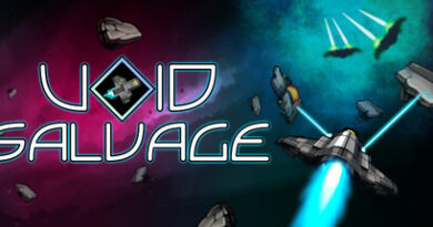 Void Salvage Void Salvage