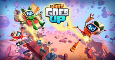 What Goes Up What Goes Up