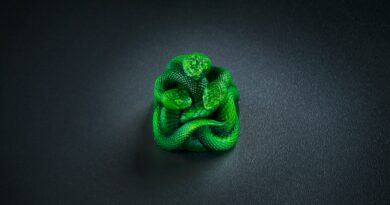 razer artisan keycap