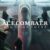 Ace Combat 8: WINGS OF THEVE
