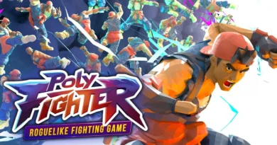 Poly Fighter Poly Fighter
