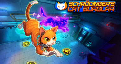 Schrodinger's Cat Burglar