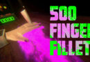 500 Finger Fillet