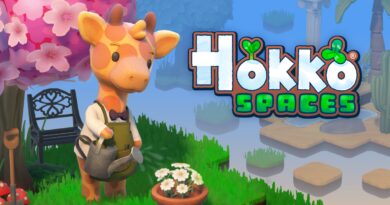 Hokko Spaces
