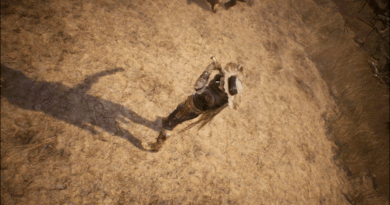 The Dark West