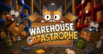 Warehouse Catastrophe